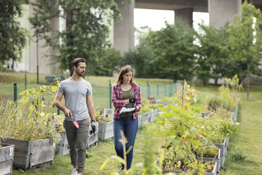 Mid adult couple examining plants at urban garden - MASF02256