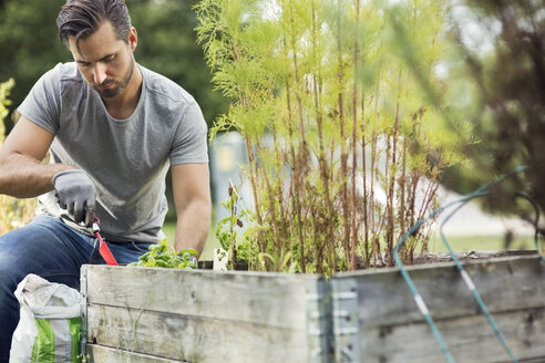 Mittlerer erwachsener Mann pflanzt im städtischen Garten - MASF02260