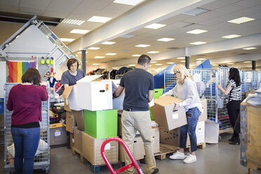 Freiwillige ordnen Kartons während der Arbeit in der Werkstatt - MASF02573