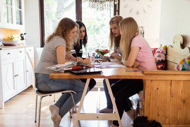 Teenage girls doing homework together at home - MASF02792