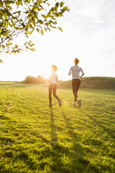 Rear view of mother and daughter running on grass at park against sky during sunset - MASF02931