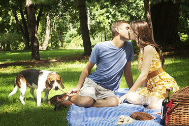 Beagle mit küssendem Paar im Park - CAVF36249