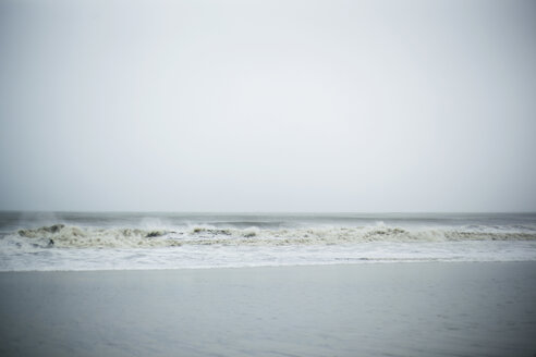 Blick auf den Strand bei klarem Himmel - CAVF36280