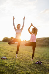 Glückliche Mutter und Tochter üben Yoga auf Gras im Park bei Sonnenuntergang - MASF03065