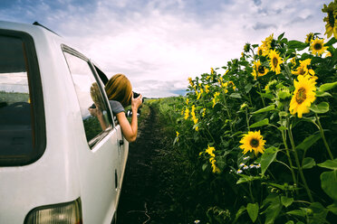 Frau fotografiert Sonnenblumenfeld vom Auto aus gegen bewölkten Himmel - CAVF36493