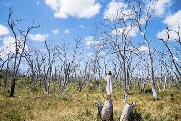 Rear view of woman on land amidst bare trees against cloudy sky - CAVF36539