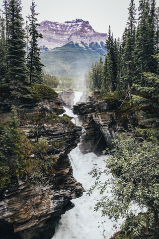 Blick von oben auf einen Wasserfall im Jasper National Park, lizenzfreies Stockfoto