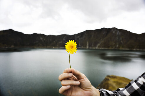 Cropped image of woman holding dandelion against lake and mountains - CAVF36602