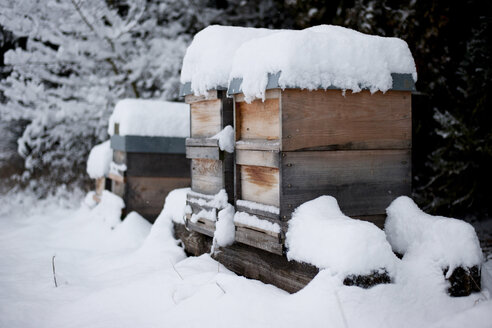 Germany, Snow-covered beehives on farm - PAF01809