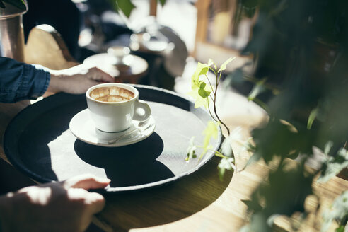 Ausgeschnittenes Bild von Händen, die ein Tablett mit einer Kaffeetasse in einem Café halten - MASF03131