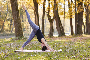 Mid erwachsene Frau im Wald übt Yoga, nach unten gerichteten Hund Position - SHOF00002