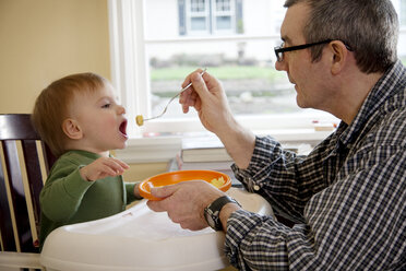 Mann füttert Enkel auf Hochstuhl sitzend zu Hause - CAVF36736