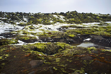 Fluss inmitten der Landschaft - CAVF36758