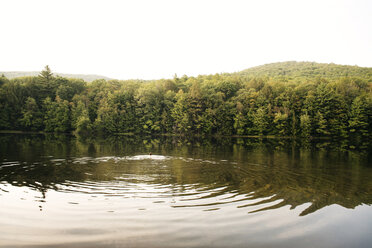 Panoramablick auf den See - CAVF36761