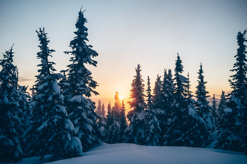 Landschaftliche Ansicht von Bäumen auf schneebedeckten Bergen bei Sonnenuntergang - CAVF36941