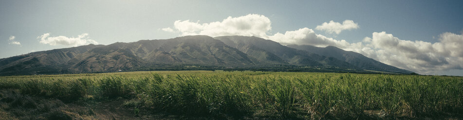 Panoramablick auf Feld und Berge - CAVF36953