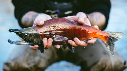 Mittelteil eines Mannes, der einen Fisch hält - CAVF36957