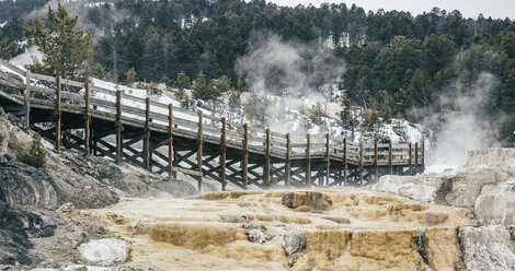 Fußgängerbrücke gegen den Wald im Yellowstone National Park - CAVF37060