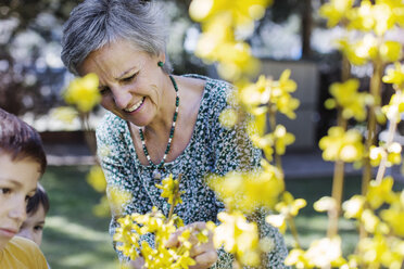 Jungen sehen Großmutter beim Beschneiden von Blumen im Garten an - CAVF37120