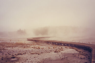 Boardwalk am Geysir im Yellowstone-Nationalpark - CAVF37461