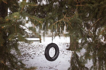 Reifenschaukel am Baum auf dem Spielplatz - CAVF37467