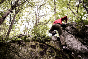 Niedriger Blickwinkel eines Wanderers beim Klettern auf einen Felsen im Wald - CAVF37537