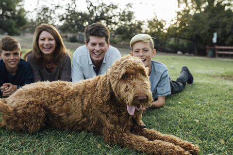 Glückliche Familie mit irischem Wolfshund auf einer Wiese im Park liegend, lizenzfreies Stockfoto