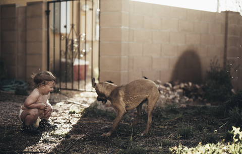 Junge spielt mit Hund im Hinterhof, lizenzfreies Stockfoto