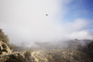 Scenic Ansicht von Vogel fliegen über Landschaft gegen bewölkten Himmel - CAVF37786