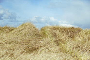 Grassy field against sky - CAVF37841