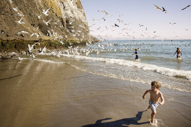 Three boys running from seagulls - CAVF37895