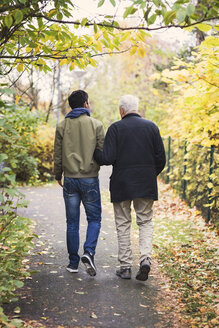 Rückansicht in voller Länge eines älteren Mannes mit Hausmeister, der im Park spazieren geht - MASF03603