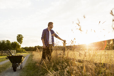 Farmer standing by fence and wheelbarrow on grassy field during sunny day - MASF03633