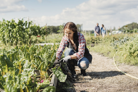 Gärtnerin hockt und pflanzt auf dem Bauernhof, lizenzfreies Stockfoto