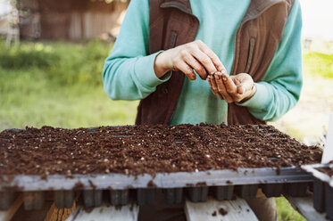 Midsection of woman planting seeds at farm - CAVF38030