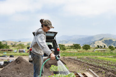 Side view of female farmer watering plants on field - CAVF38083