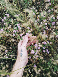 Cropped hand of man touching flowers growing on field - CAVF38222