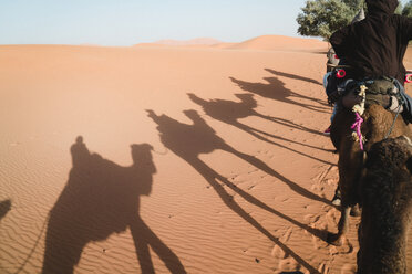Rückansicht eines Mannes auf einem Kamel in der Wüste an einem sonnigen Tag - CAVF38280
