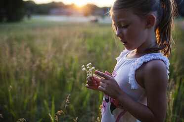 Girl looking at flowers in farm during sunset - CAVF38354