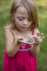 Cute girl playing with frog in yard - CAVF38382