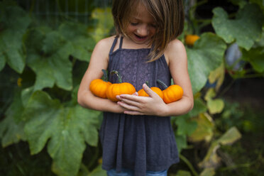 Happy girl holding pumpkins while standing against plants - CAVF38400