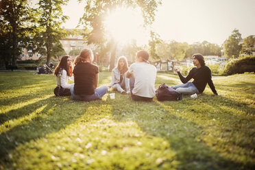 Teenagers spending leisure time at park - MASF03786