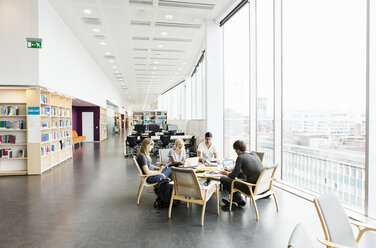 Junge College-Freunde studieren zusammen in der Bibliothek - MASF03844