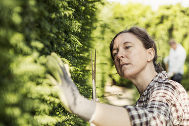 Woman examining plants at community garden - MASF03849