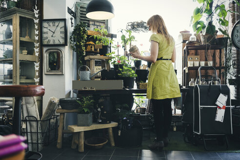 Rear view of woman working in interior design shop - MASF03959