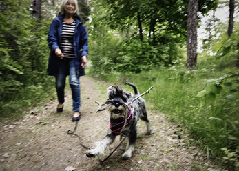 Ältere Frau mit Hund läuft auf dem Fußweg inmitten von Pflanzen - MASF04028