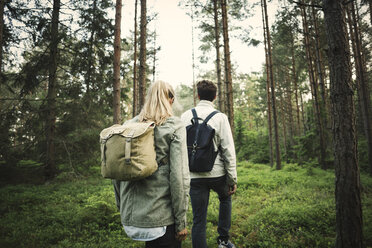Rückansicht eines Paares, das Rucksäcke bei einem Spaziergang durch den Wald trägt - MASF04096