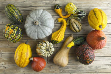 Different pumpkins on wood - ASF06169