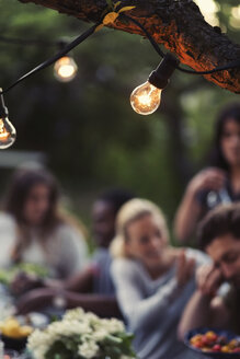 Glühbirnen auf einem Zweig mit Freunden, die eine Dinnerparty im Garten genießen - MASF04321