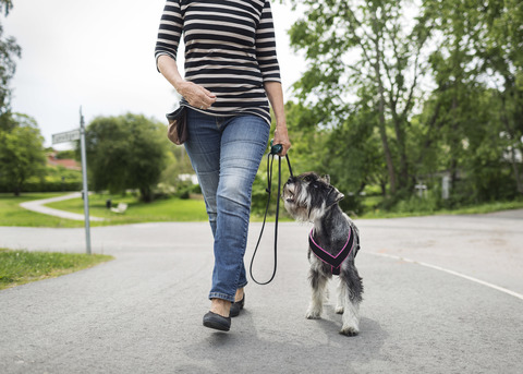 Tiefschnitt einer älteren Frau, die mit ihrem Hund auf der Straße spazieren geht, lizenzfreies Stockfoto